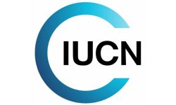 युरोपका मौरी र पुतलीहरूको अस्तित्व सङ्कटमा : आइयुसिएन