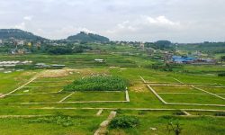 उब्जाउ जमिन नासिँदै, कृषि उत्पादन घट्दै