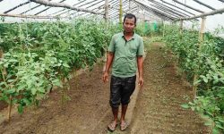 मजदुरदेखि सफल व्यावसायिक किसानसम्म जयप्रकाशको प्रेरणादायी यात्रा