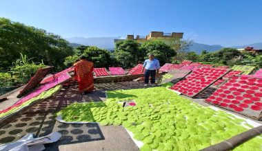 झनियाँको माग बढ्दो, व्यवसायीलाई उत्पादन गर्न भ्याइनभ्याई