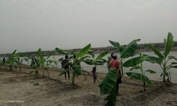 मिथिलाञ्चल छठमय धुनमा झुम्दै