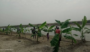 मिथिलाञ्चल छठमय धुनमा झुम्दै