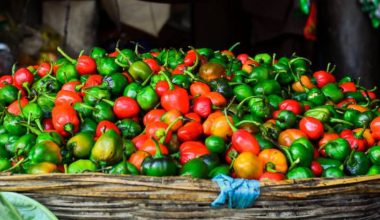 फेरि भेटियो अकबरे खुर्सानीमा विषादी