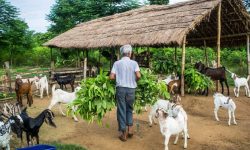 कृषि, पशुपालन, वन र सहकारी क्षेत्रमा अनुसन्धान गर्ने विषयमा सम्झौता