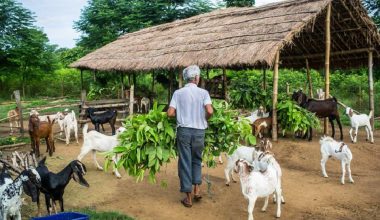 कृषि, पशुपालन, वन र सहकारी क्षेत्रमा अनुसन्धान गर्ने विषयमा सम्झौता