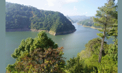 विषादी मिसिएको पानीले कुलेखानीको माछा उत्पादनमा ह्रास