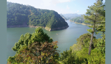 विषादी मिसिएको पानीले कुलेखानीको माछा उत्पादनमा ह्रास