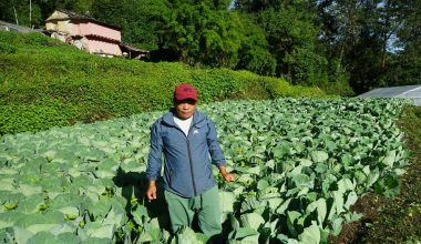 ‘अहिलेसम्म टिकोटमा रासायनिक मल भित्रिएको छैन’