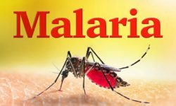 लगानीको अभावमा मलेरियाविरूद्धको अभियान प्रभावित