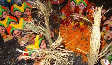 मिथिलामा सामाचकेवा पर्व सुरु