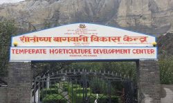 मुस्ताङमा फूलफूलखेती सिक्दै १४ जिल्लाका किसान