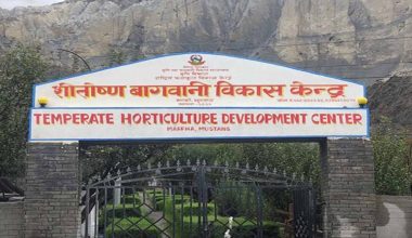 मुस्ताङमा फूलफूलखेती सिक्दै १४ जिल्लाका किसान