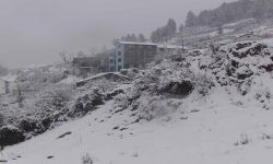 नेपाली सेनाद्वारा मुस्ताङको हिमपात प्रभावित क्षेत्रबाट १५ जना पर्यटकको उद्धार