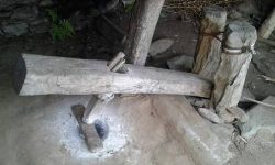 जुम्लामा हराउँदै धान कुट्ने ओखल