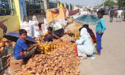 वीरगञ्जमा पालाको व्यापार बढेन