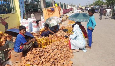 वीरगञ्जमा पालाको व्यापार बढेन