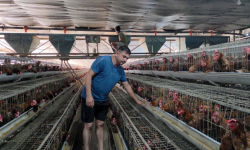 सरकारी सेवा छाडेर कार्की बने सफल उद्यमी