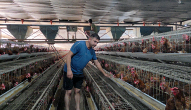 सरकारी सेवा छाडेर कार्की बने सफल उद्यमी