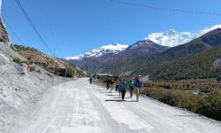 डेढ महिनामा सात हजार पर्यटक भित्रिए