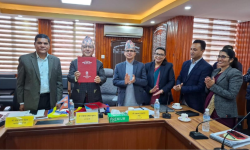 आन्तरिक लेखापरीक्षण प्रतिवेदन र सरकारको सम्पत्तिको एकीकृत वार्षिक विवरण पेस