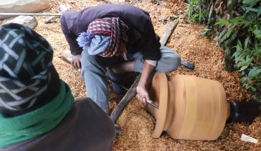 संरक्षणका पखाइमा चुदारा पेसा