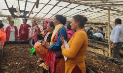 जैविकखेती प्रवर्द्धन गर्न गड्यौला मल उत्पादनमा जोड दिँदै पौवादुङमा