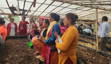 जैविकखेती प्रवर्द्धन गर्न गड्यौला मल उत्पादनमा जोड दिँदै पौवादुङमा