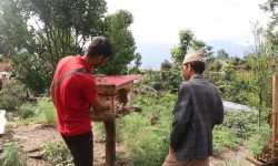 व्यावसायिक मौरीपालनमा किसान आकर्षित