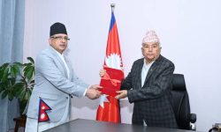 राष्ट्रपति पौडेलसमक्ष आयोगको वार्षिक प्रतिवेदन पेस