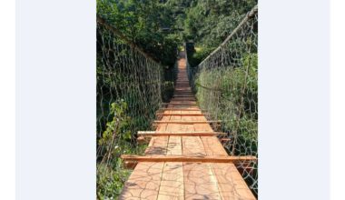 श्रमदानमार्फत झोलुङ्गे पुल मर्मत