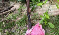 हराएको ३०३ राइफल दमकमा फेला