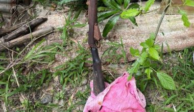 हराएको ३०३ राइफल दमकमा फेला