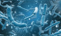 प्रकोपमा पानीजन्य रोगहरूबाट सुरक्षित रहन विज्ञको आग्रह