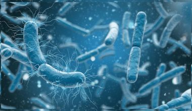 प्रकोपमा पानीजन्य रोगहरूबाट सुरक्षित रहन विज्ञको आग्रह