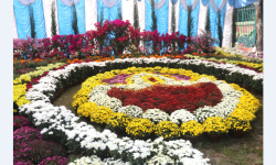 अठारौँ गोदावरी फूलको प्रतियोगितात्मक प्रदर्शनी २०८२ सुरु