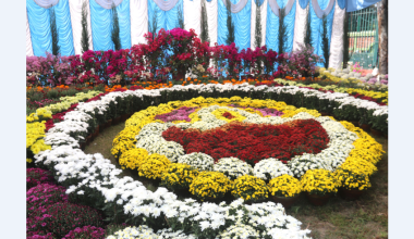 अठारौँ गोदावरी फूलको प्रतियोगितात्मक प्रदर्शनी २०८२ सुरु