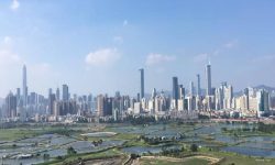 आज विश्व सहरीकरण दिवस