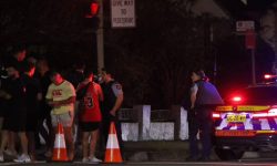 सिड्नीमा भएको गोली हानाहानमा २० जना घाइते