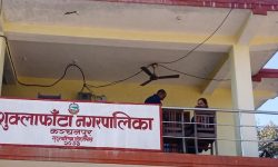 वन्यजन्तु संरक्षणमा चुनौती : शुक्लाफाँटामा चोरी-शिकारी रोकिएन