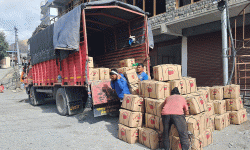 मुस्ताङमा यस वर्ष एक अर्बभन्दा बढीको स्याउ उत्पादन