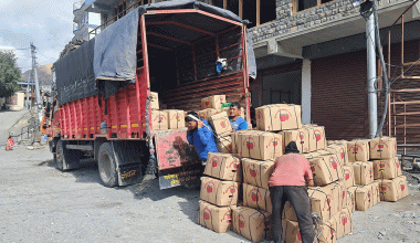 मुस्ताङमा यस वर्ष एक अर्बभन्दा बढीको स्याउ उत्पादन