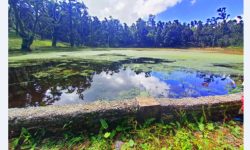 धमाधम सुक्न थाले ताल, संरक्षणमा चुनौती