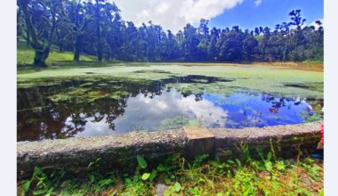 धमाधम सुक्न थाले ताल, संरक्षणमा चुनौती