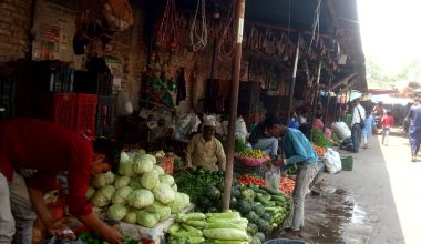 तरकारीमा विषादीको मात्रा बढ्दो