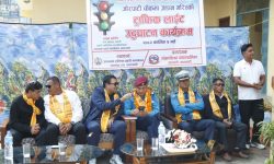 जोरपाटी चोकमा ट्राफिक लाइट जडान