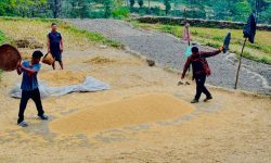 पर्वतमा ६५ करोडको कृषिजन्य वस्तुको कारोबार