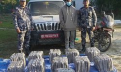 सुनसरीको ईनरुवाबाट १५३ के.जी. गाँजासहित एकजना नियन्त्रणमा