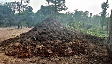 प्राङ्गारिक मलको प्रयोगले माटोको उर्वराशक्ति बढ्यो