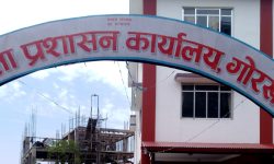 जेनजी आन्दोलनका घाइतेलाई परिचयपत्र दिइने