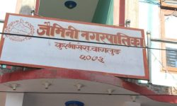 विकट गाउँमा सडक नपुग्दा सास्ती